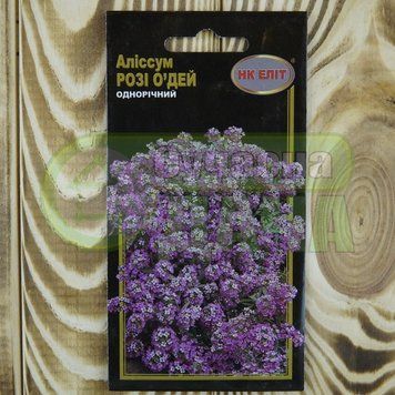Аліссіум "Розі О`Дей 0,2г./рожевий/20-25см/1/НК ЕЛІТ 071489 фото