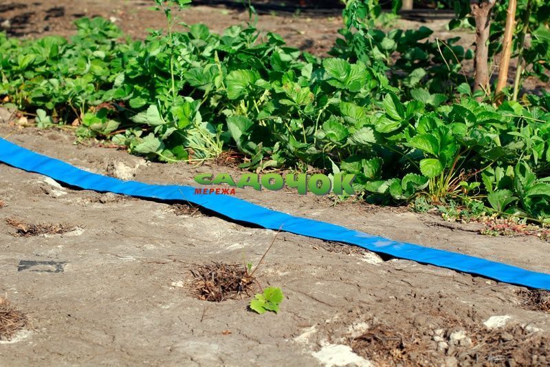Terra Flat lft-152 Гнучкий шланг "LayFLat" Presto-PS діаметр 6 дюйми, довжина 100 м (TFL-152) TFL-152 фото