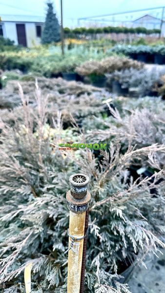 451234 фото