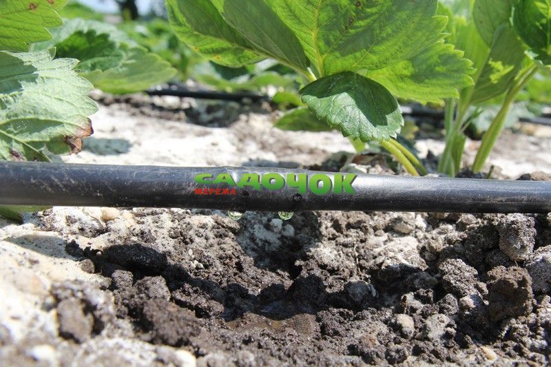 Крапельна трубка багаторічна Argo Drip з крапельницями через 33 см, довжина 200 м з маркуванням (ARD-33-200) ARD-33-200 фото