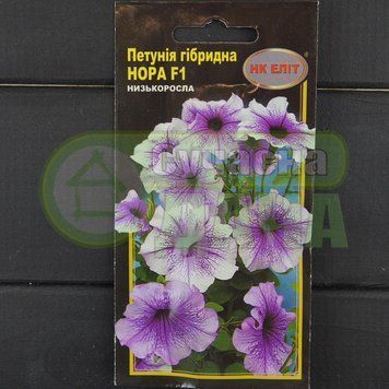 Петунія великокв. гібр. "Нора" 10шт.світл-син. з фіол. прожил.НК ЕЛІТ 071563 фото