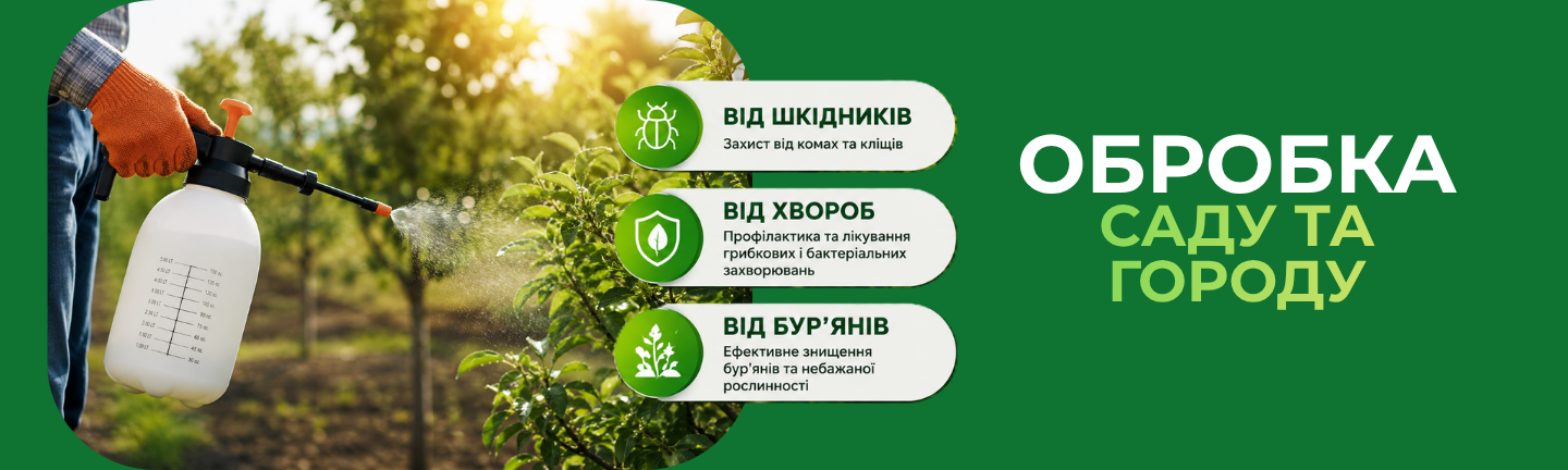 ЗЗР