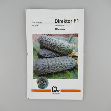 Огірок Директор F1 насіння 10 шт, ранній, партенокарпічний, АПГ (Голландія) 213198 фото