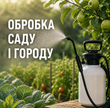 Захист рослин (ЗЗР)