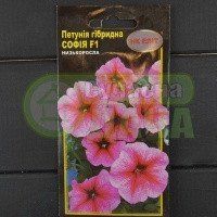 Петунія великокв. гібр. "Софія" /насичено рожева з рожев.прожилк.НК ЕЛІТ/ 071565 фото