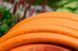 Шланг садовий Tecnotubi Orange Professional для поливу діаметр 1 дюйм, довжина 25 м (OR 1 25) OR 1 25 фото 4