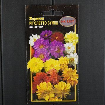 Жоржини суміш " Р іголетто махрова 0,3г./80%//30-35см/НК ЕЛІТ 075115 фото