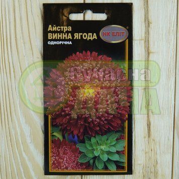 Айстра "Винна ягода" (принцеса,темно-черв) 0.3г. "НК ЕЛІТ" ЕВРО 073935 фото