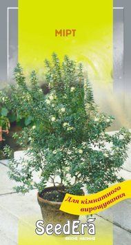 Мини-комнат.цветы Мирт 5шт.Seedera 228496 фото