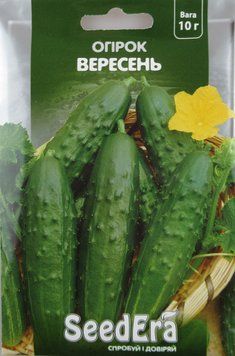 ОгірокВЕРЕСЕНЬ Seedеra, 10 г (пс) 231099 фото