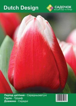 Цибулини тюльпанів &laquo;Dutch Design&raquo;🌷середньостиглий, вогненно-червоний 235801 фото