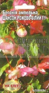Бегонія амп. махр. "Шансон двокол рож-біла" 10шт. "НК ЕЛІТ" 068896 фото