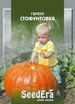 Насіння гарбуза Стофунтовка 3 г Seedera 227936 фото