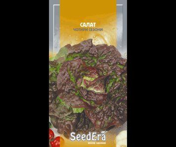 Салат Четыре сезона (качаный) Seedera, 1 г (ср) 228417 фото