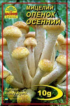 Гриби Опеньок осінній 10г "Насіння Країни" 235263 фото