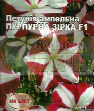 Петуния ампельн. Пурпурная звезда 13327 фото