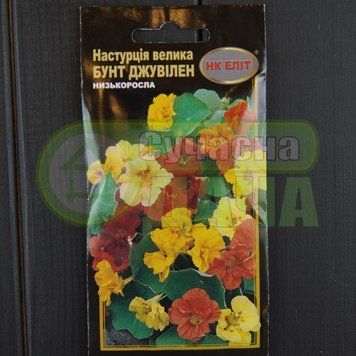 Красоля суміш (НАСТУРЦІЯ) "Бунт Джувілен 10шт 30см.НК ЕЛІТ 071546 фото
