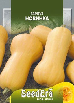 Насіння гарбуза &laquo;Новинка&raquo; 20 г Seedera 228515 фото