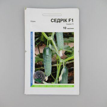 Огірок Седрік F1 насіння 10 шт, ранній, партенокарпічний, АПГ (Голландія) 227580 фото