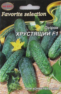 ОгірокХРУСТЯЩИЙ F1 3г "НК ЕЛІТ" 066402 фото