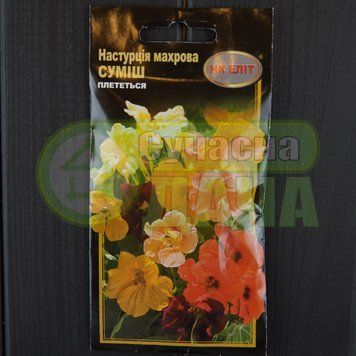 Красоля (НАСТУРЦІЯ) махрова суміш низькоросла 10шт "НК ЕЛІТ" 071548 фото