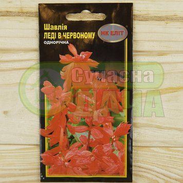 Шалфей Леди в красном/красн/25-50см/НК ЭЛИТ 073922 фото