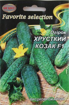 ОгірокХРУСТКИЙ КОЗАК F1 3г НК-Еліт 091466 фото